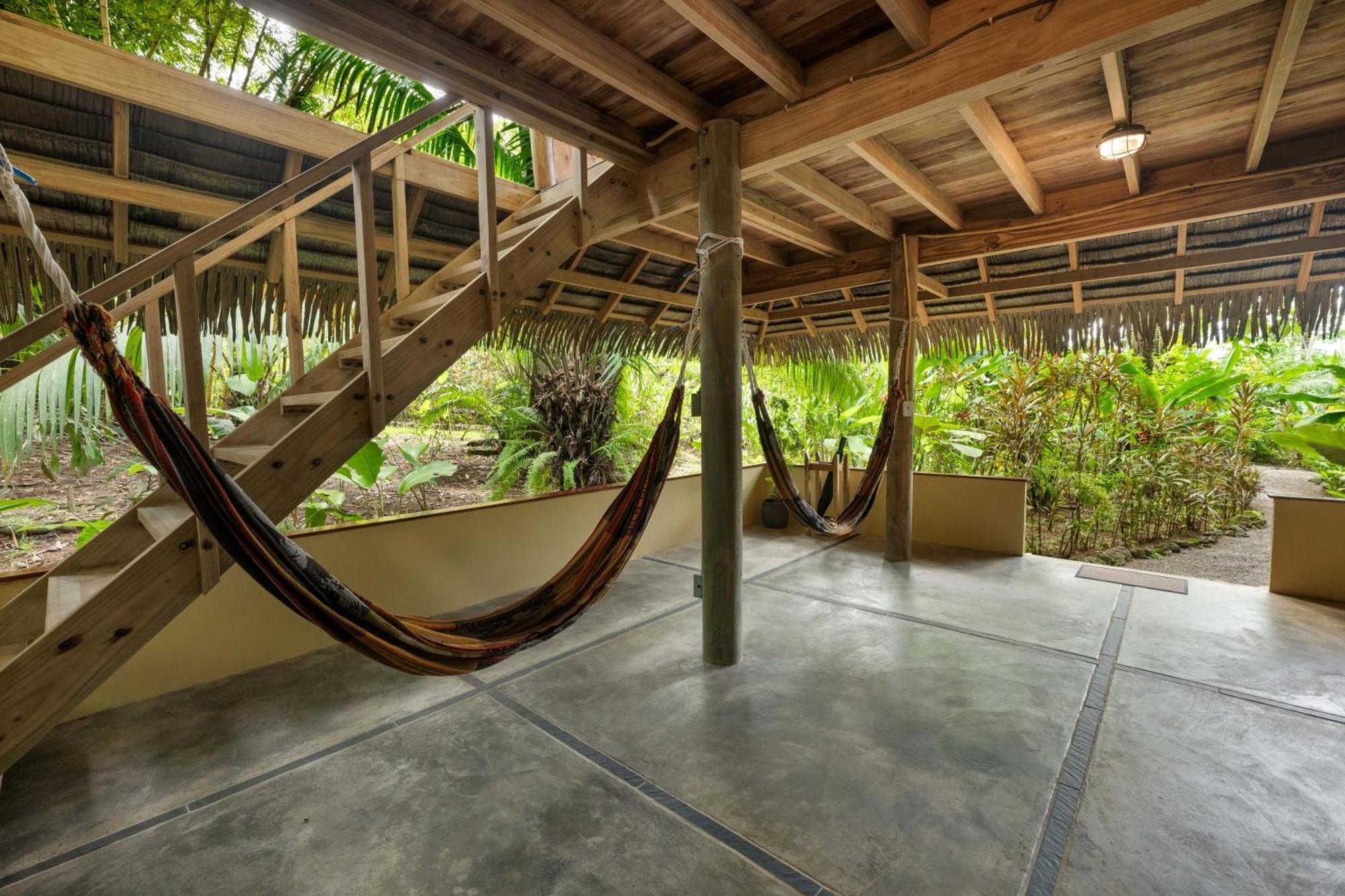 Copa De Arbol Beach & Rainforest Resort Drakes Bay Exterior foto