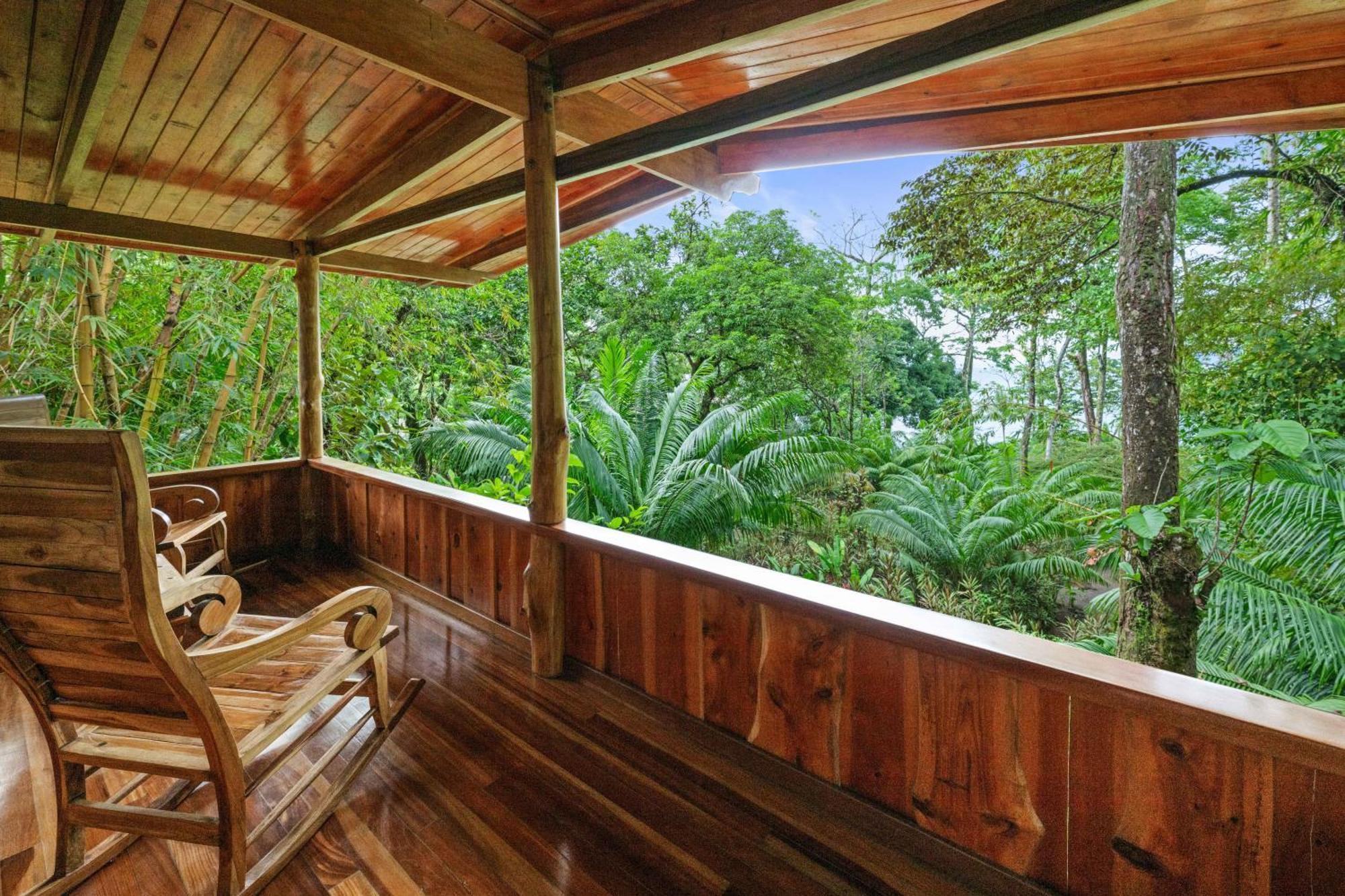 Copa De Arbol Beach & Rainforest Resort Drakes Bay Zimmer foto