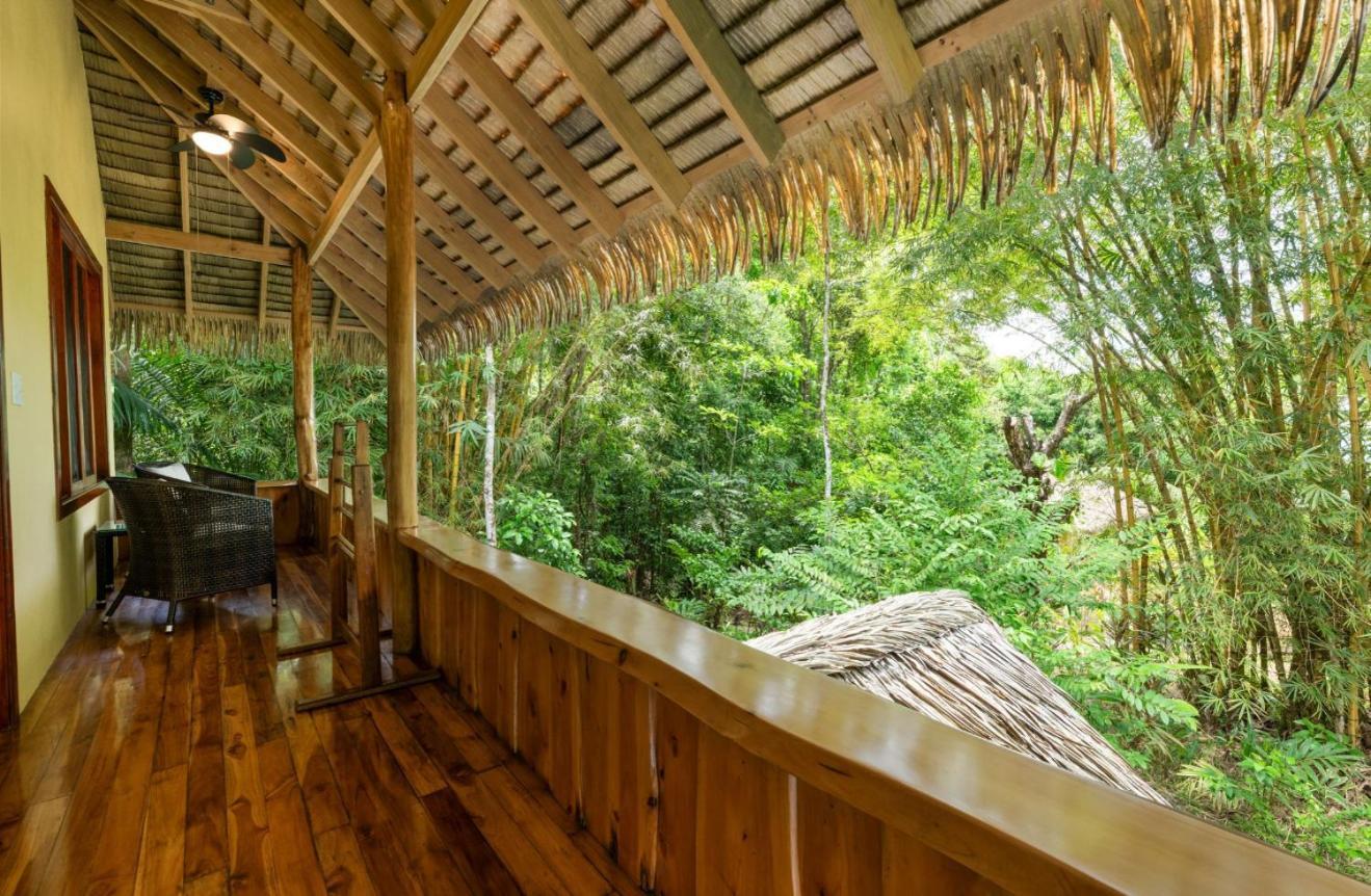 Copa De Arbol Beach & Rainforest Resort Drakes Bay Exterior foto