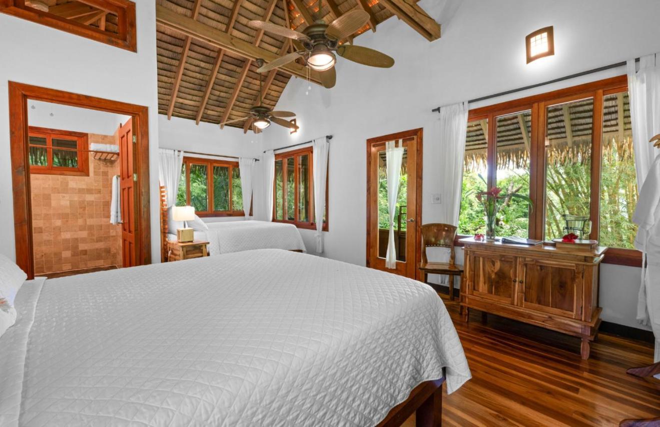 Copa De Arbol Beach & Rainforest Resort Drakes Bay Exterior foto
