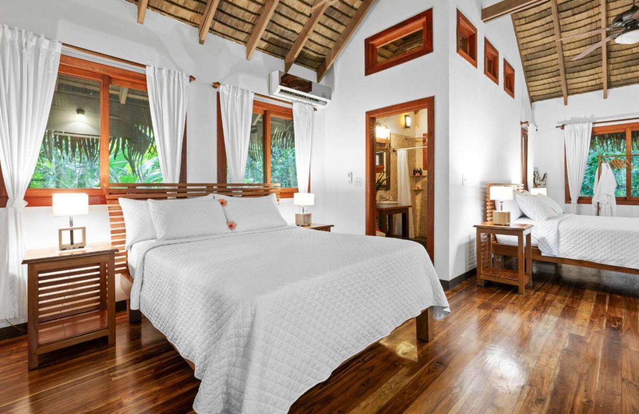 Copa De Arbol Beach & Rainforest Resort Drakes Bay Exterior foto