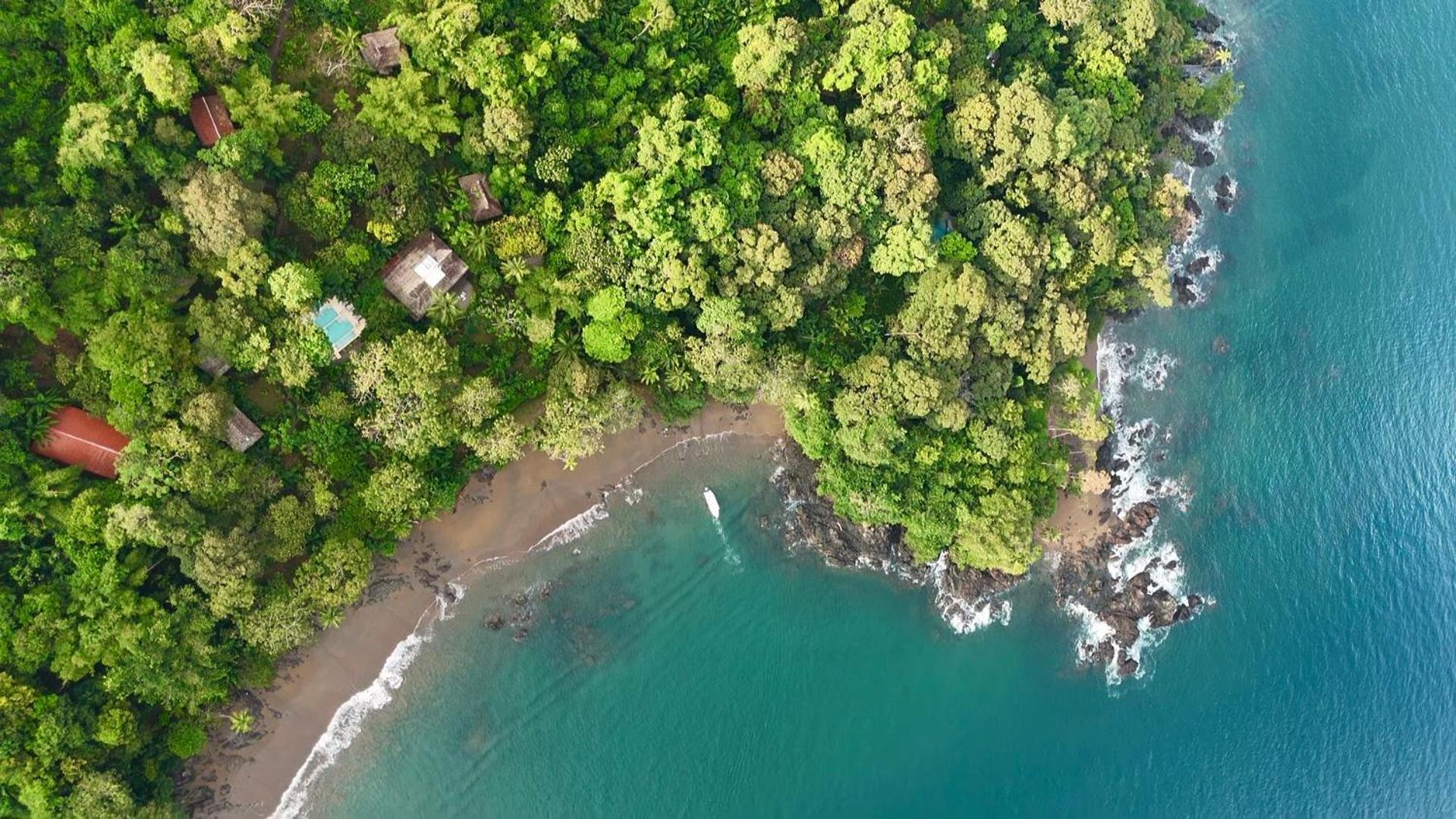 Copa De Arbol Beach & Rainforest Resort Drakes Bay Exterior foto